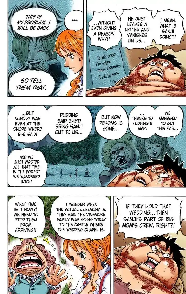 One Piece - Digital Colored Comics Chapter 843 9